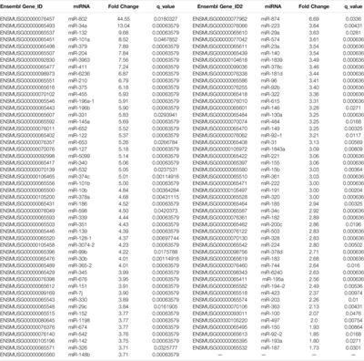 Kidney microRNA Expression Pattern in Type 2 Diabetic Nephropathy in BTBR Ob/Ob Mice